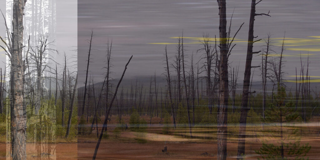 2018. 'DESERT'S STILL LIFE' 3. FOTO (di-bond) 075x150cm. lowres
